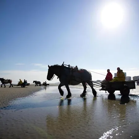 In Near The Beach, Cleaning Included * Nieuwpoort