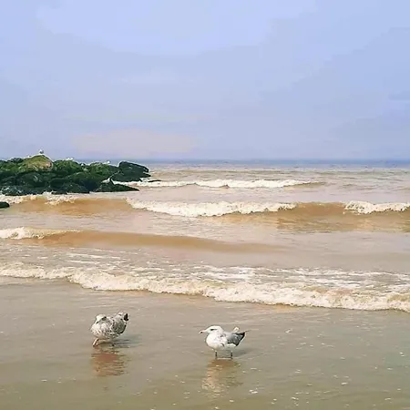 Lägenhet In Near The Beach, Cleaning Included *